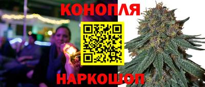 гидропоника Славгород