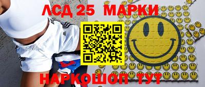 гидропоника Славгород
